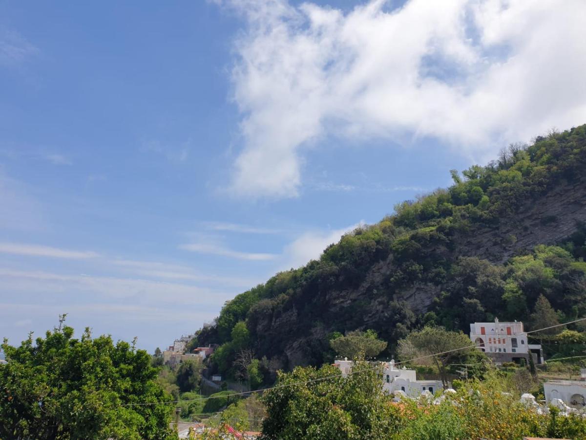 Sweet Home La Chicca Ischia Luaran gambar