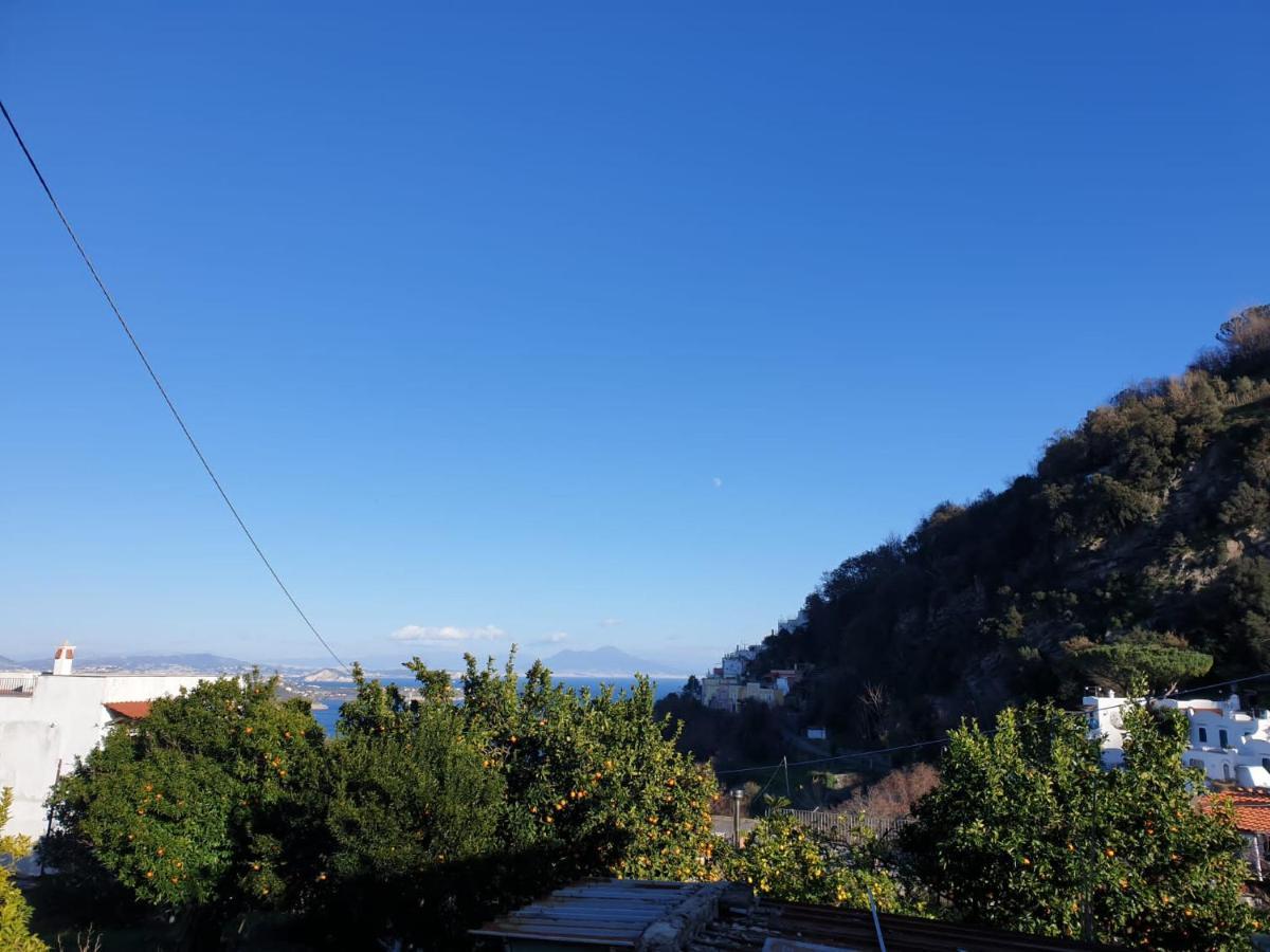 Sweet Home La Chicca Ischia Luaran gambar