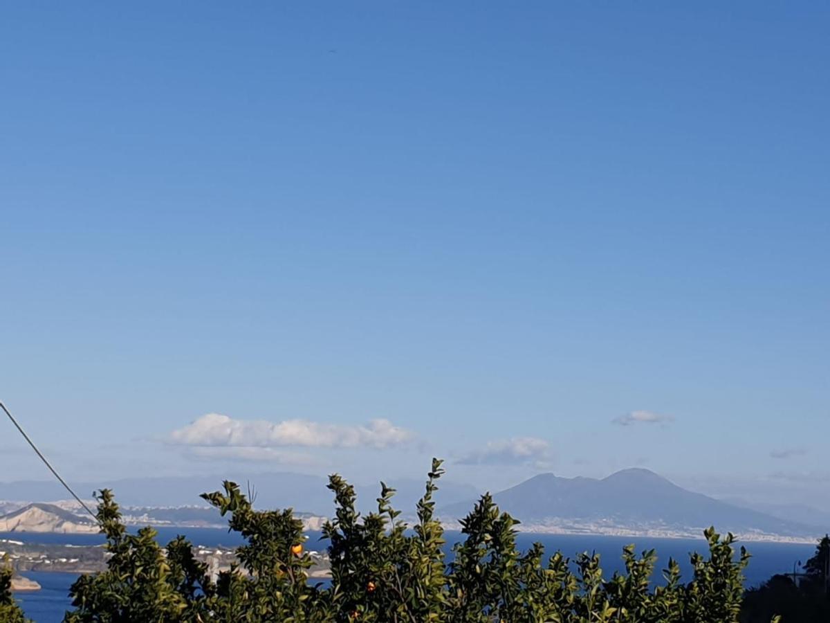 Sweet Home La Chicca Ischia Luaran gambar